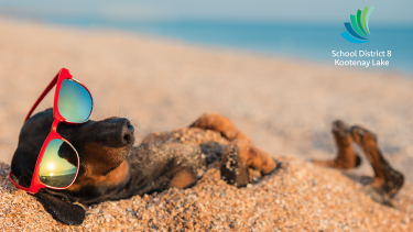 Dachschund in sunglasses lying on its back on a beach