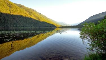 A wide stretch in a meandering river with lily pads on one side, and mountains on either side.